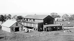 Central cotton Ginnery in St Vincent early 1900s