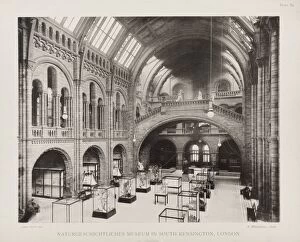 Natural History Museum Collection: Central Hall. 25th August 1902