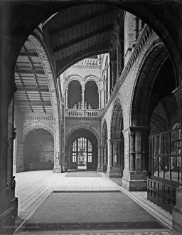 Natural History Museum Collection: Central Hall, the Natural History Museum. 1882