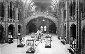 Images Dated 12th July 2013: Central Hall, the Natural History Museum 1902