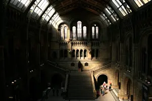 Sherman Prints: The Central Hall, The Natural History Museum