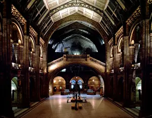 The Central Hall of the Natural History Museum, London