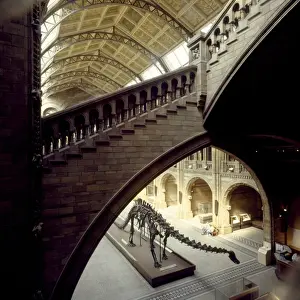 The Central Hall of the Natural History Museum, London