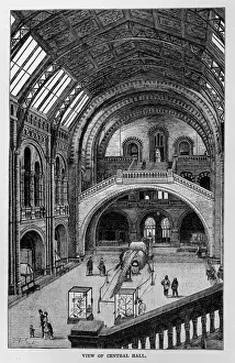 Central Hall of the Natural History Museum, London