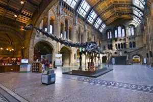 The Central Hall of the Natural History Museum, London
