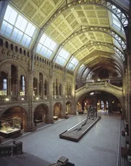 The Central Hall of The Natural History Museum, London