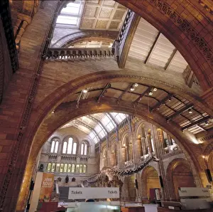 The Central Hall of the Natural History Museum, London