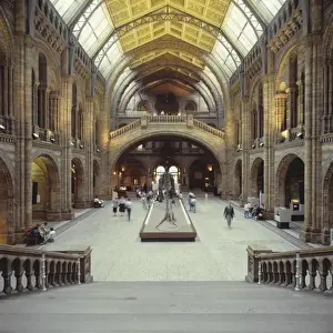 Central Hall at the Natural History Museum, London