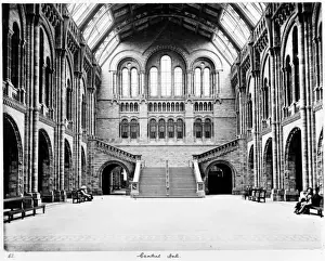The Central Hall of the Natural History Museum, London