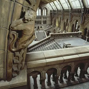 The Central Hall of the Natural History Museum, London