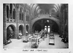 The Central Hall of the Natural History Museum, London