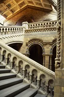 The Central Hall of the Natural History Museum, London