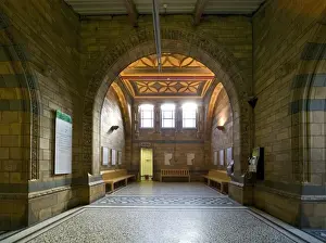 The Central Hall of the Natural History Museum, London