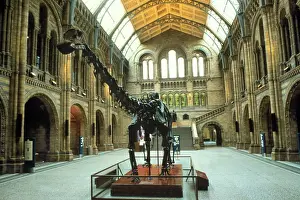 The Central Hall of the Waterhouse Building