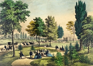 Images Dated 13th May 2011: Central Park, the Drive, New York