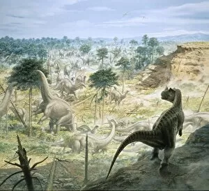 Ceratosaurus & Apatosaurus