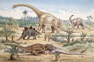 Cerapoda Collection: Ceratosaurus, Coelurosaur, Camptosaurus, Stegosaurus, Brachio