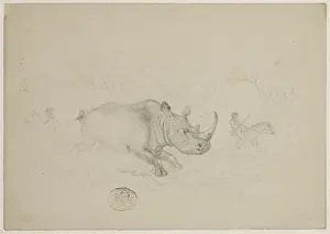 Locomotion Prints: Ceratotherium simum, white rhinoceros