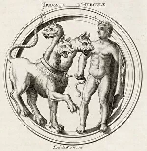 Headed Collection: Cerberus & Herakles