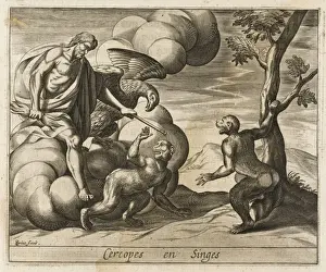 The Cercopes