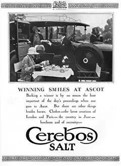 Ascot Prints: Cerebos Salt advertisement, 1928