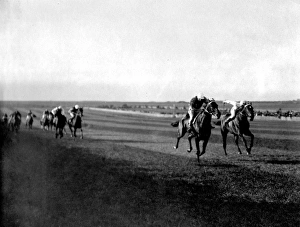 Images Dated 2nd February 2012: Cesarewitch Handicap race, Newmarket