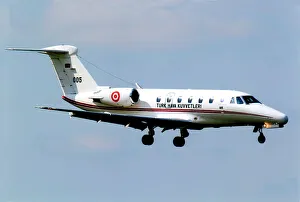 Citation Prints: Cessna 650 Citation VII 005