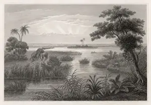 Chad / Lake Chad C1840