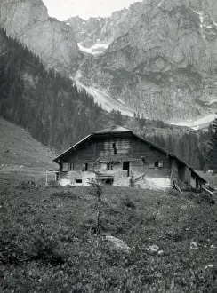Chateau Prints: Chalet above the Swiss Village of Chateau d Oex