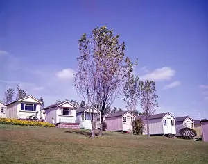 Chalets Prints: Chalets at a holiday camp, Paignton, Devon