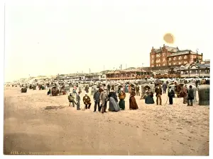 The chalets, I. Westerland, Sylt, Schleswig-Holstein, Germa