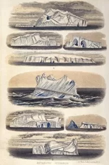 Ice Bergs Gallery: Challenger Icebergs