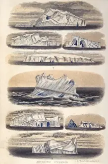 Challenger Icebergs
