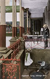 Taste Prints: Chalybeate Spring, The Pantiles, Tunbridge Wells
