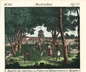 Chamorro natives working in the gardens of Agagna, Guam