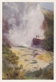 Cauldron Prints: CHAMPAGNE CAULDRON