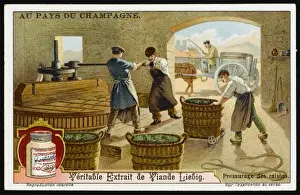 Pressing Prints: Champagne Liebig 3