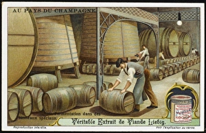 Champagne Liebig 3