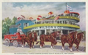 1933 Collection: Champion Six-horse team of Wilson & Co. Meat Packers