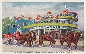 Wings Collection: Champion Six-horse team of Wilson & Co. Meat Packers