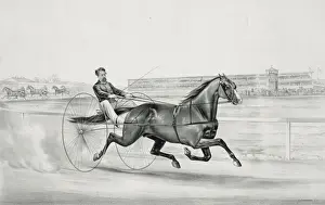 Champion trotting stallion Smuggler owned by H. S. Russell, M