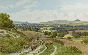 Worthing Prints: Chanctonbury Ring and Cissbury, South Downs, Sussex