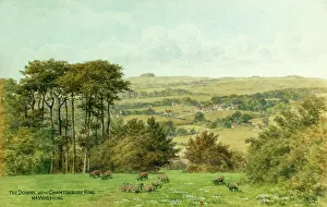 Chanctonbury Ring, near Worthing, South Downs, Sussex
