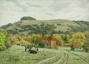 Cottages Prints: Chanctonbury Ring, South Downs, Sussex