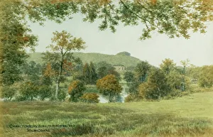 Pond Prints: Chanctonbury Ring, from Wiston Pond, South Downs, Sussex