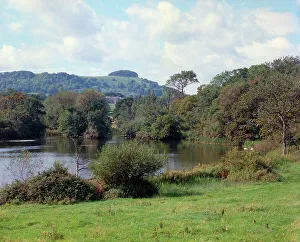 Downs Prints: Chanctonbury Ring from Wiston, South Downs