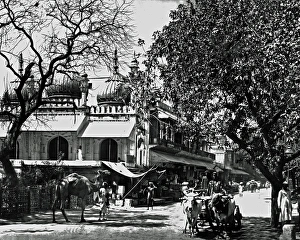 Markets Collection: Chandni Chowk market, Delhi, India