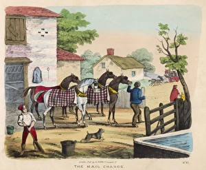 Changing Horses