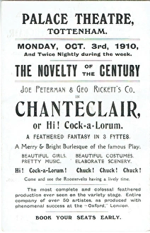 Chanteclair or Hi! Cock-a-Lorum by Joe Peterman Chanteclair or Hi! Cock-a-Lorum by Joe Peterman