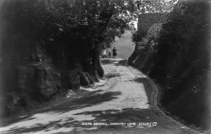 Chantry Lane in Bexhill